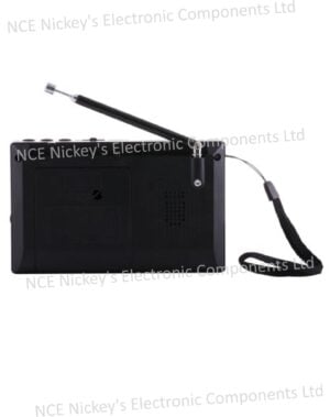 Portable FM/AM/SW Radio with Rechargeable Lion Battery, Support Micro TF Card / USB / Bluetooth