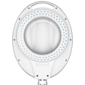 LED lens light with table clamp