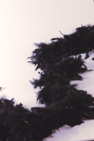EUROLAMP Black Feathers 2.5m with 50L Clear Mini Lights on Black wire (IP20)