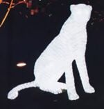 3D ACRYLIC LED PANTHER