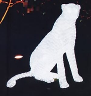 3D ACRYLIC LED PANTHER