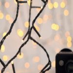 900 LED Warm White on Green Cable 45m