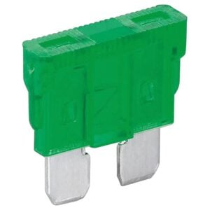 Blade Fuse 30A (Green) (X10)