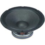Professional 15" Speaker / 8 Ohms