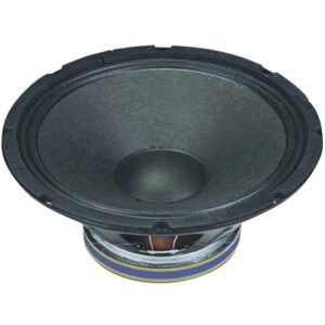Professional 15" Speaker / 8 Ohms