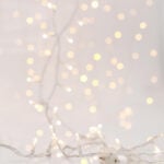 EUROLAMP Curtain Lights, 240 LED 3mm, 31V Adaptor, 4 Connectors up to 3 SET, Transparent PVC Wire, Warm White LED, 2x1
